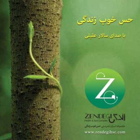 سالار عقیلی حس خوب زندگی