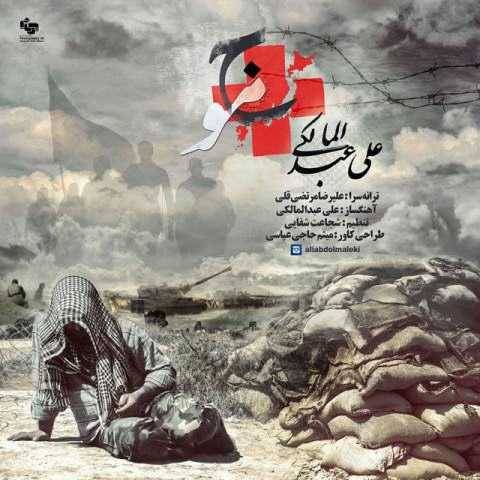 علی عبدالمالکی موج
