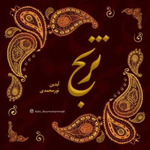 آیدین نورمحمدی ترنج