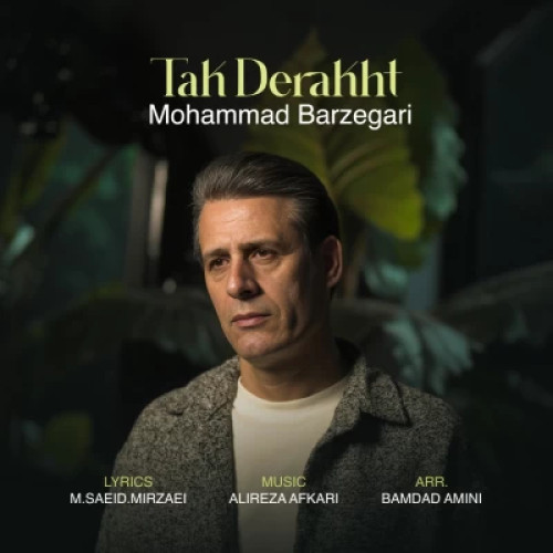 محمد برزگری تک درخت